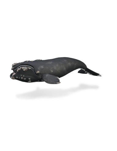 ballena derecha -xl-88740 - 90188740 COLLECTA COLLECTA