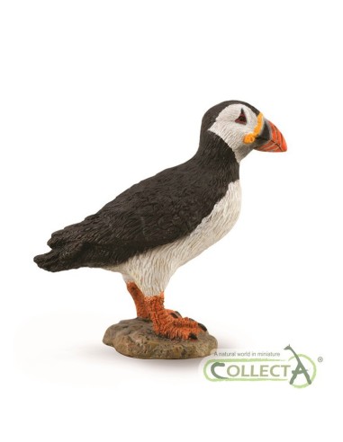 frailecillo - m - 88895 - 90188895 COLLECTA COLLECTA