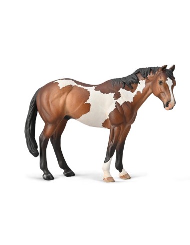 semental appaloosa bay overo pintura - xl - 88956 - 90188956 COLLECTA COLLECTA