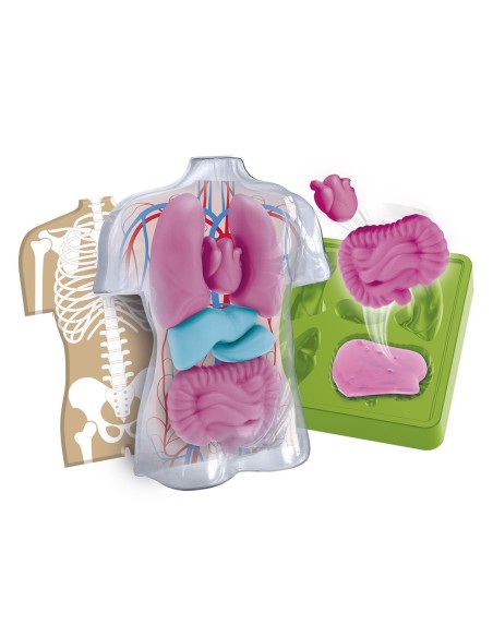 Kit Anatomía Squishy Organs 55577 CLEMENTONI