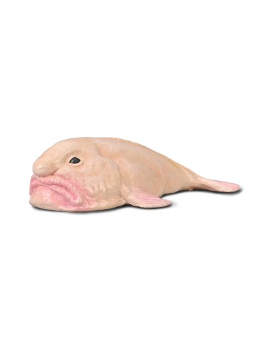 Pez borrón M 90180037 COLLECTA