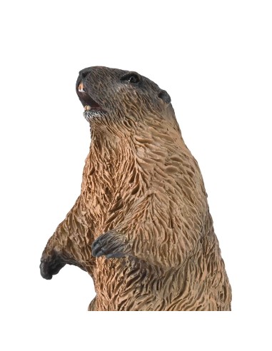 Marmota S 90180044 COLLECTA COLLECTA