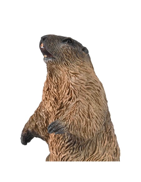Marmota S 90180044 COLLECTA COLLECTA