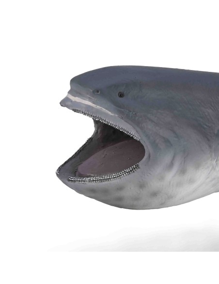 Tiburón boca ancha XL 90180046 COLLECTA COLLECTA