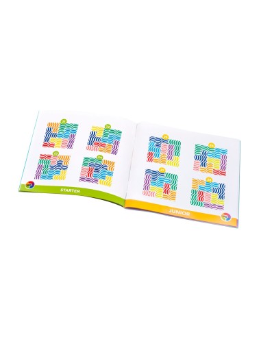 Juego de Ingenio IQ Flow SG340 SMART GAMES