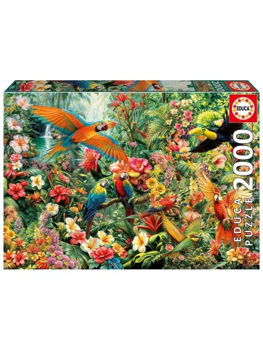 Puzzle 2000 Aves del Amazonas 20574 EDUCA