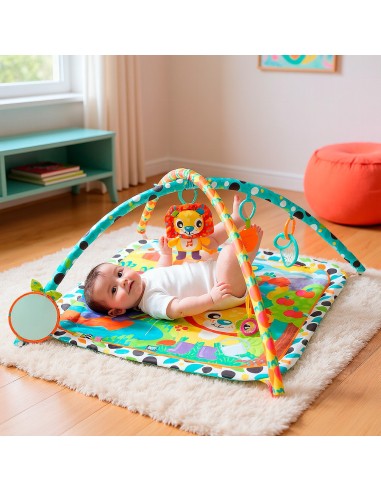 Gimnasio Musical Jardín Risueño 0189025 PLAYGRO