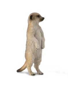 Animales Salvajes, Suricata S 90188913 COLLECTA COLLECTA