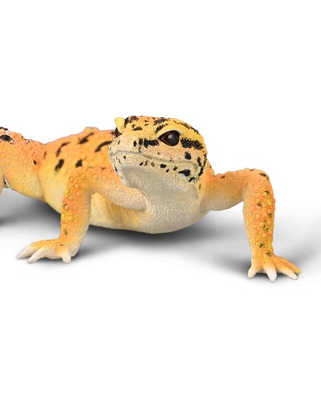 Gecko leopardo L 90180043 COLLECTA COLLECTA