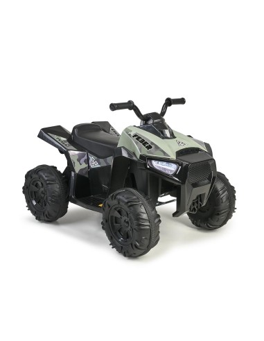 Quad Boxer CE 12V LT FEN47000 FEBER