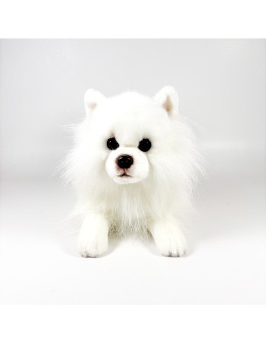 Peluche Pomerania Tumbado 25Cm 939D00294 BOCALAN DEQUBE