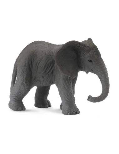 Elefante Africano Cría - S 90188026 COLLECTA