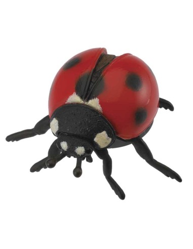 mariquita - m - 88474 90188474 COLLECTA