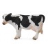 Vaca Friesian (Blanca Y Negra) -L 90188481 COLLECTA
