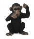 Cachorro De Chimpance -Pensando -S 90188495 COLLECTA