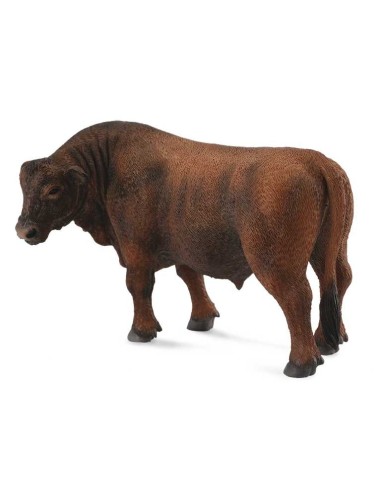 Toros Angus Rojo -L 90188508 COLLECTA