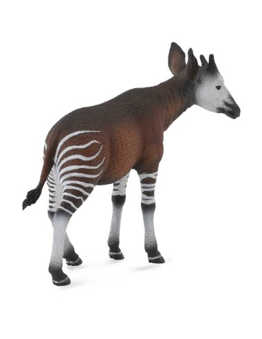 Okapi -L 90188532 COLLECTA