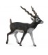 Antilope De Cuello Negro (Sasin) -L 90188638 COLLECTA