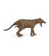 Thylacine Tigre De Tasmania Hembra - L 90188767 COLLECTA