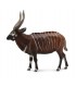 Antilope Bongo - Xl 90188809 COLLECTA