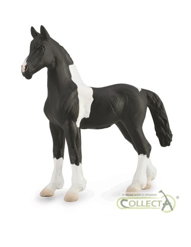 Potro barock pinto - M 90188893 COLLECTA