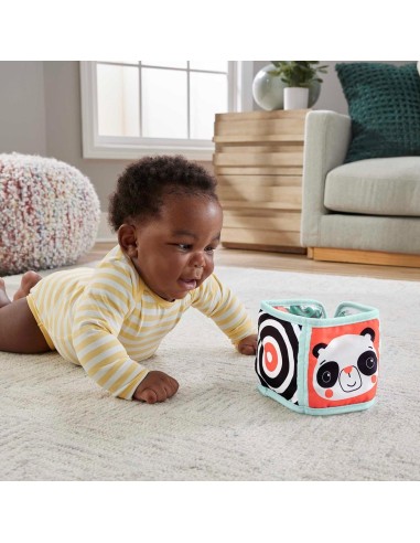 Panel de actividades HML63 FISHER-PRICE